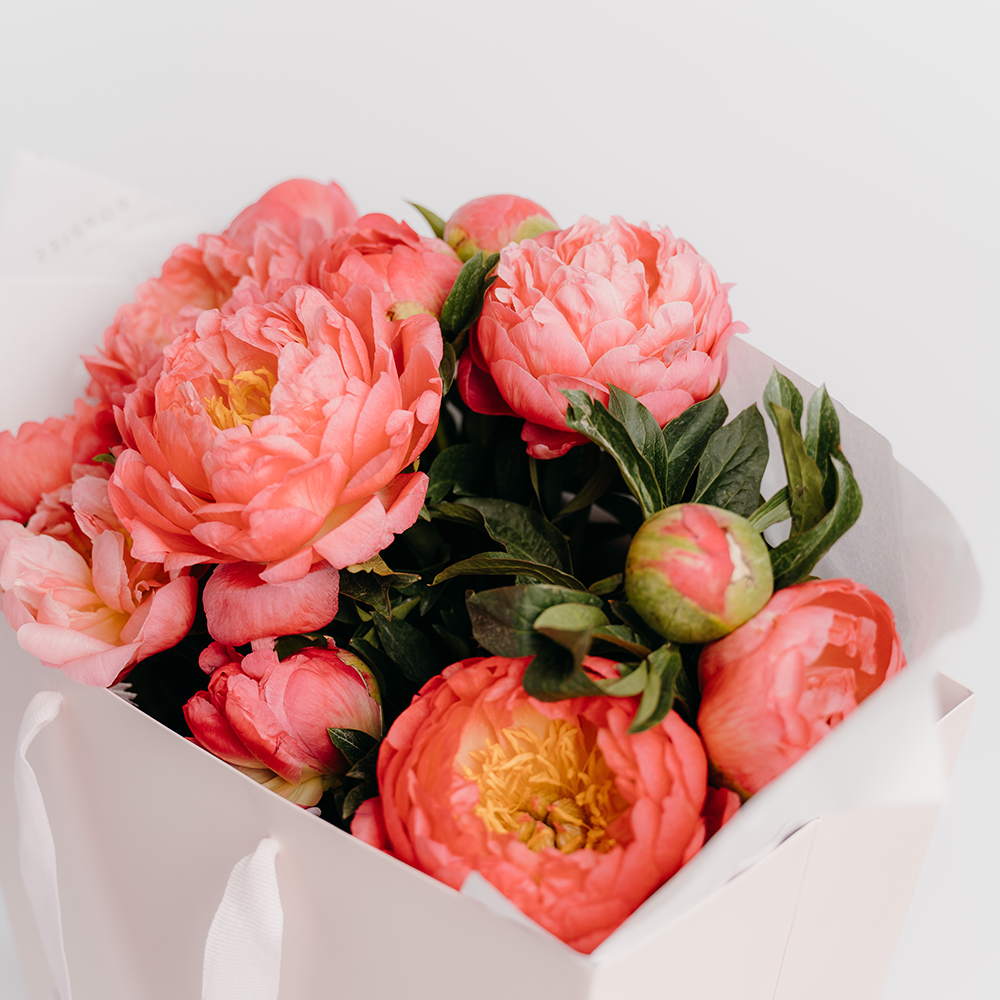 Coral Peonies - Wild Poppies -  Flower - Same Day Flower Delivery Auckland - Auckland Flower Delivery \ Florists - boutique gift boxes 