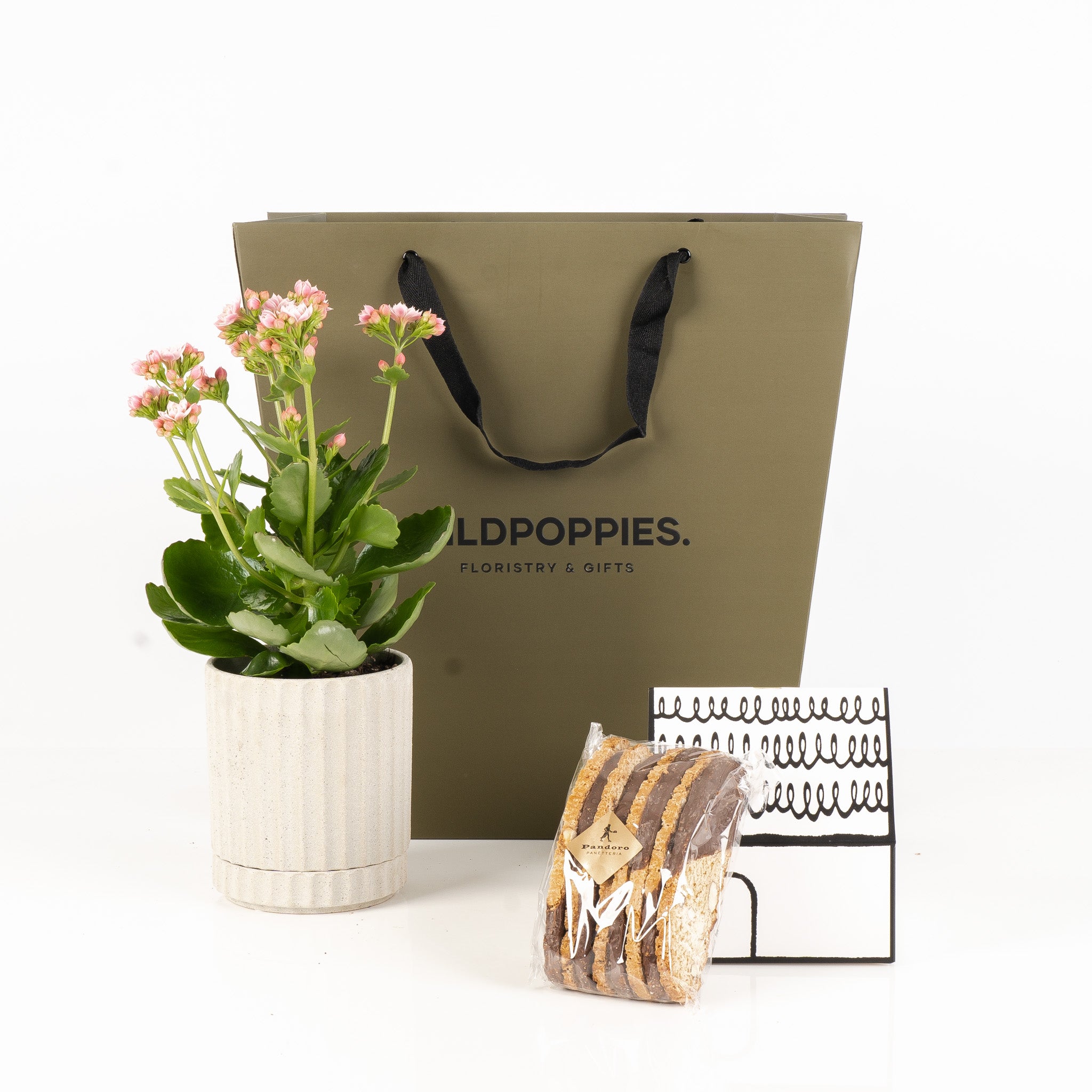 Potted Kalanchoe Plant & Biscotti – Wild Poppies