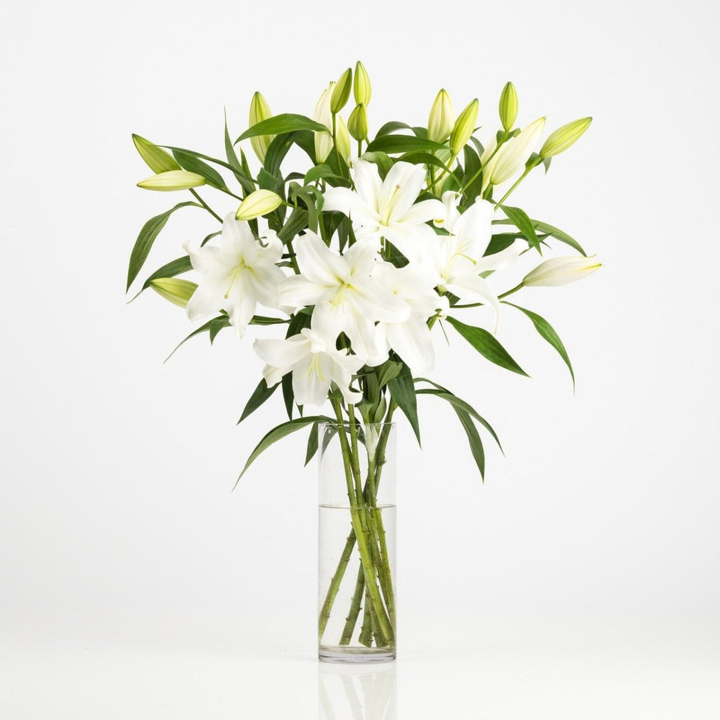 Market Fresh White Lilies - Wild Poppies -  Flower - Same Day Flower Delivery Auckland - Auckland Flower Delivery \ Florists - boutique gift boxes 