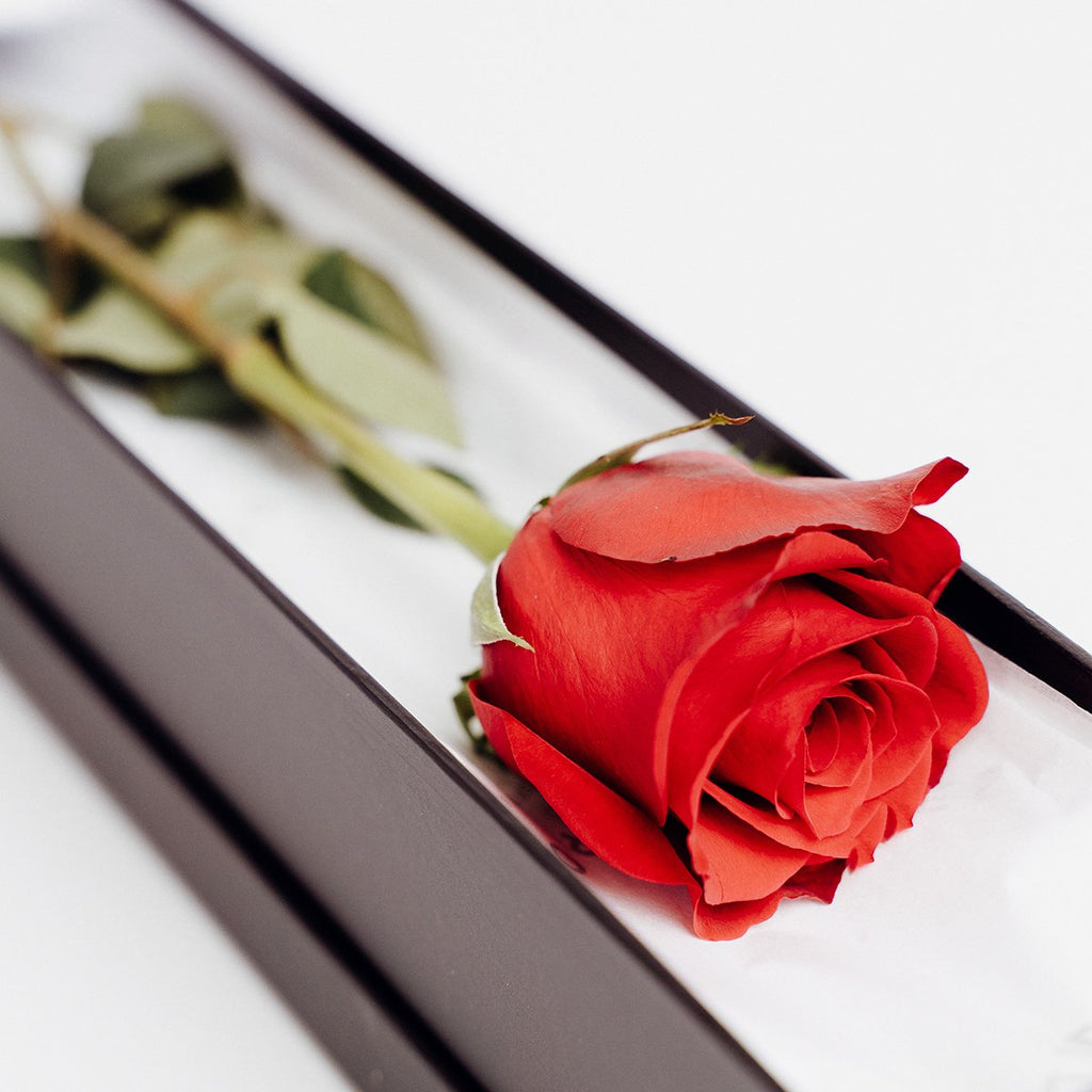 Single Red Rose - Wild Poppies -  Flower - Same Day Flower Delivery Auckland - Auckland Flower Delivery \ Florists - boutique gift boxes 